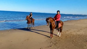 balade cheval bord mer Tunisie
