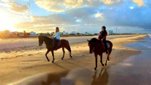 balade cheval plage soleil Tunisie